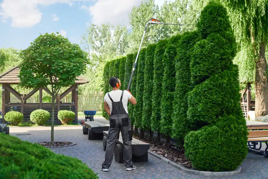 Professional Landscape Maintenance